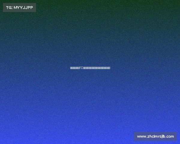 上海申花迎战FC劲旅绿茵赛场激情碰撞期待精彩足球盛宴